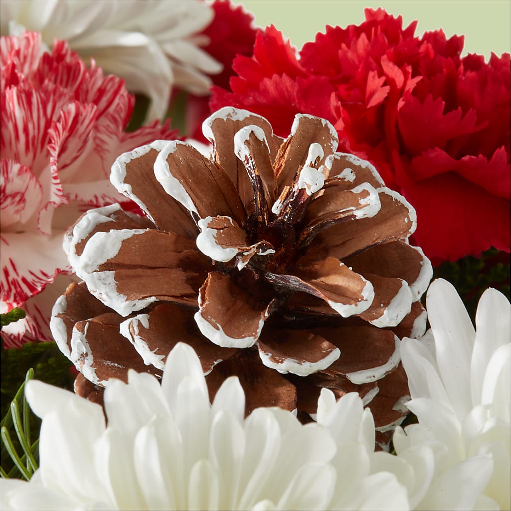 Candy Cane Lane Bouquet – MOORE'S FLOWERS & GIFTS, Fayette AL