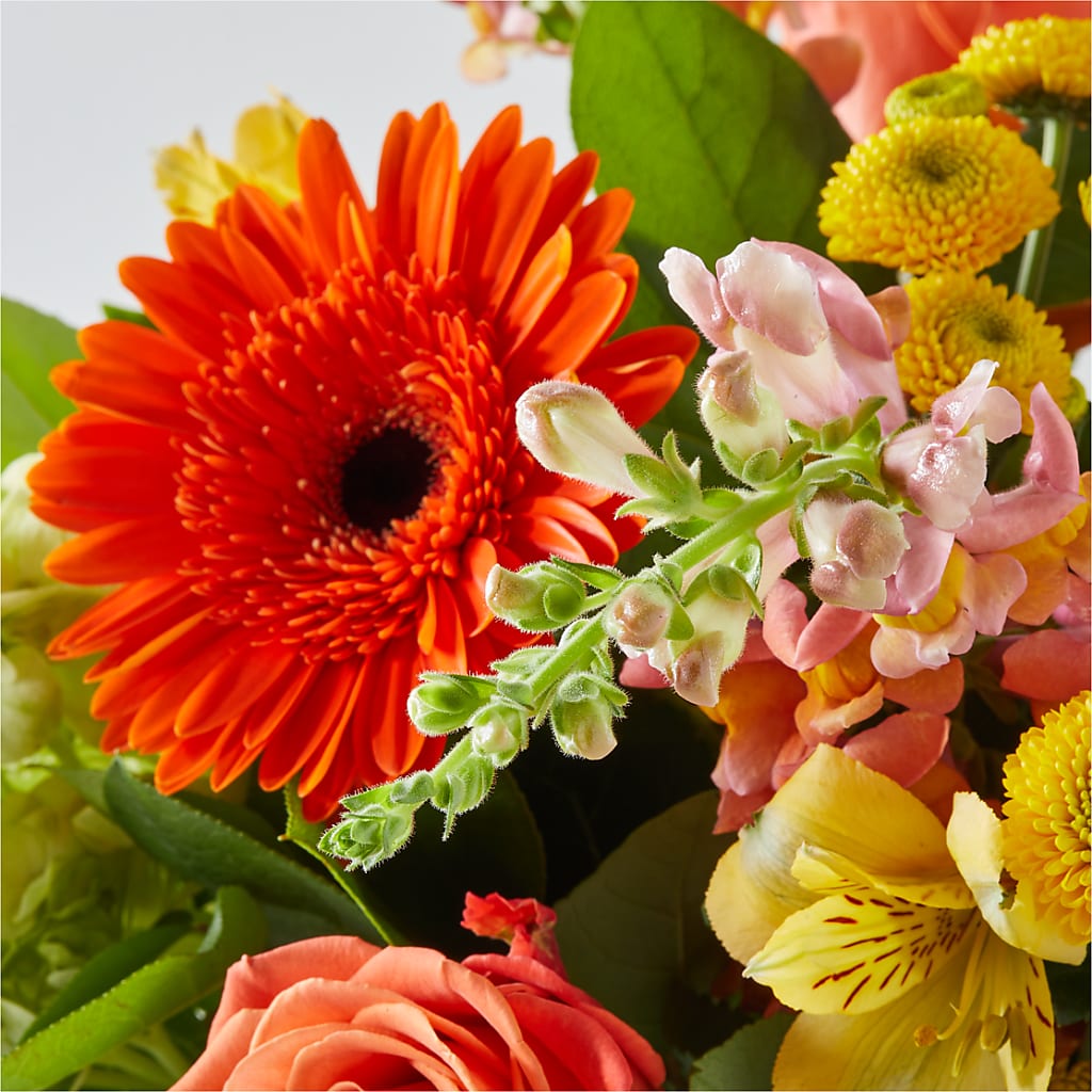 Autumn Sunshine Bouquet – MOORE'S FLOWERS & GIFTS, Fayette AL