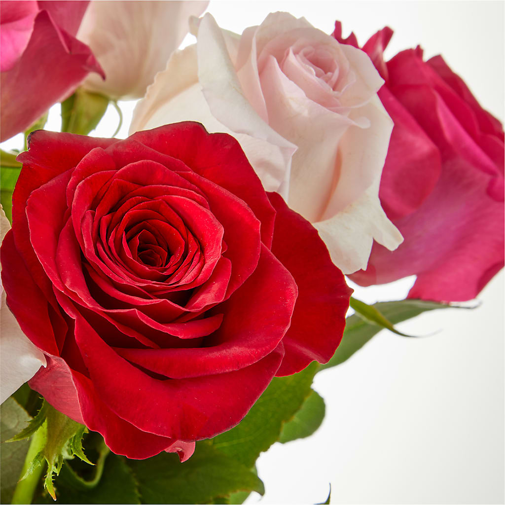 Charming Rose Bouquet – MOORE'S FLOWERS & GIFTS, Fayette AL