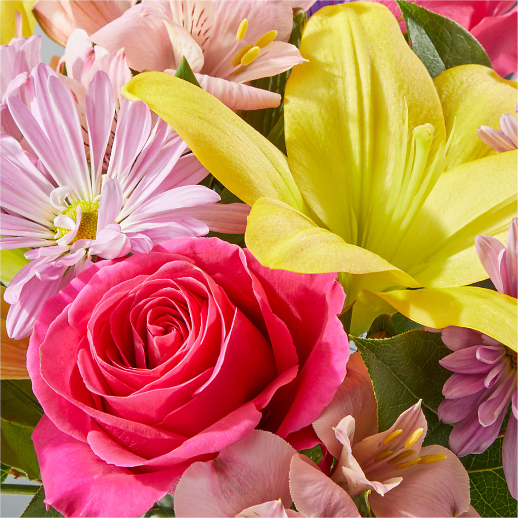 Sprinkles Bouquet – MOORE'S FLOWERS & GIFTS, Fayette AL