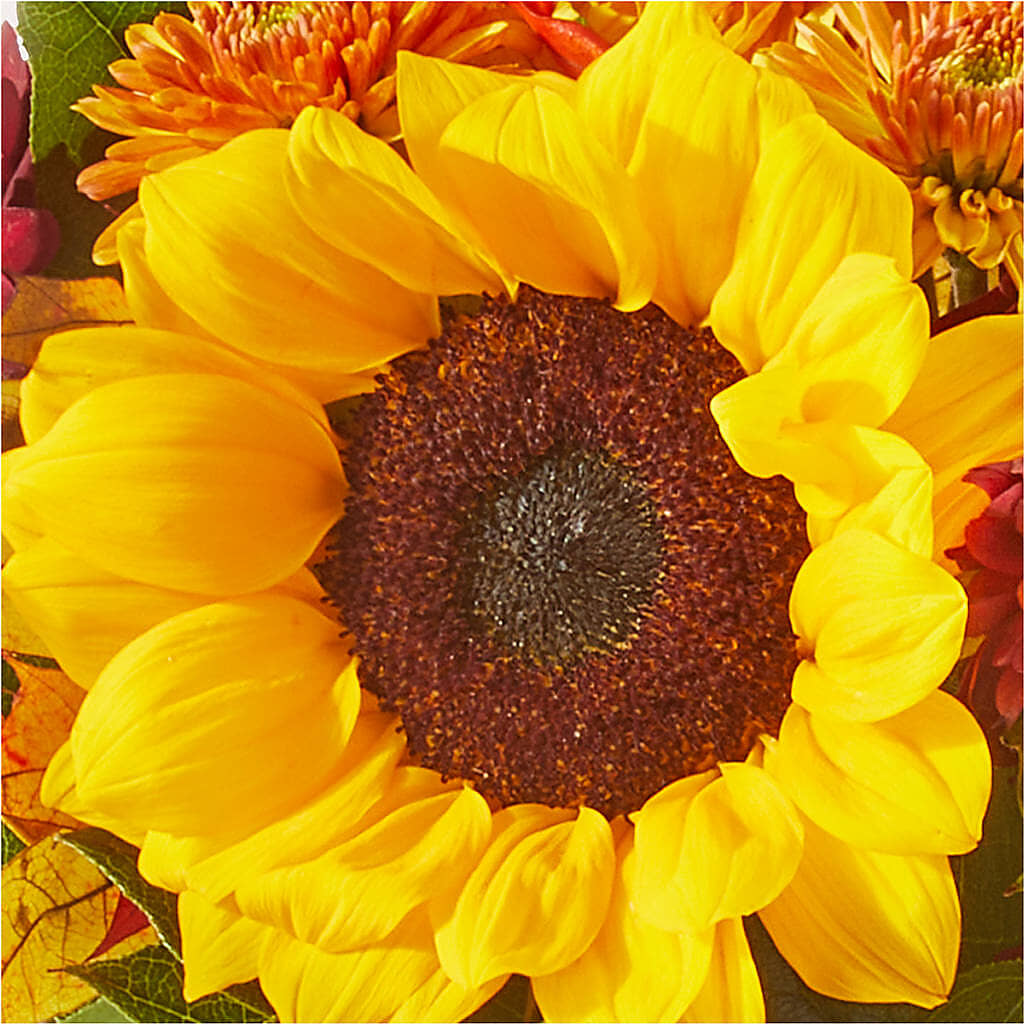 Sunny Side Bouquet – MOORE'S FLOWERS & GIFTS, Fayette AL