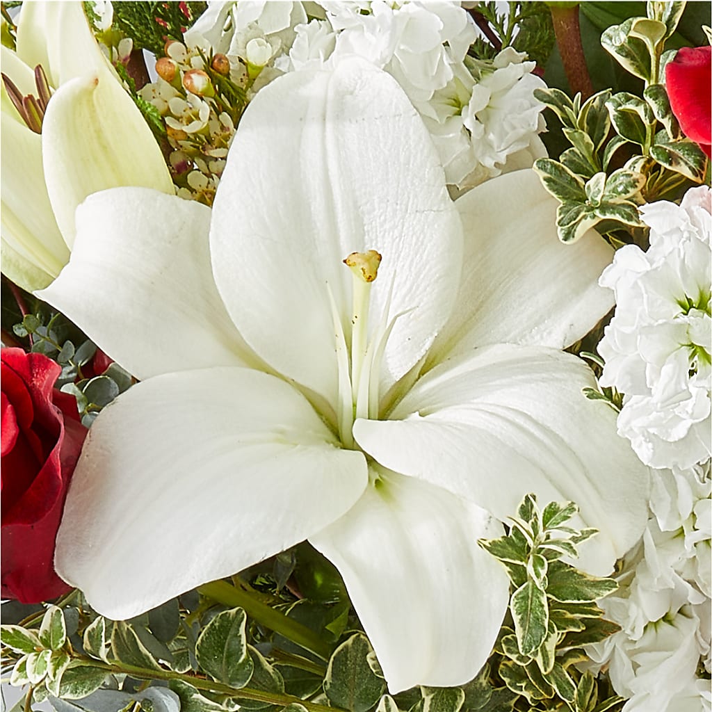 Twinkle Lights Bouquet – MOORE'S FLOWERS & GIFTS, Fayette AL