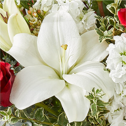 Twinkle Lights Bouquet – MOORE'S FLOWERS & GIFTS, Fayette AL