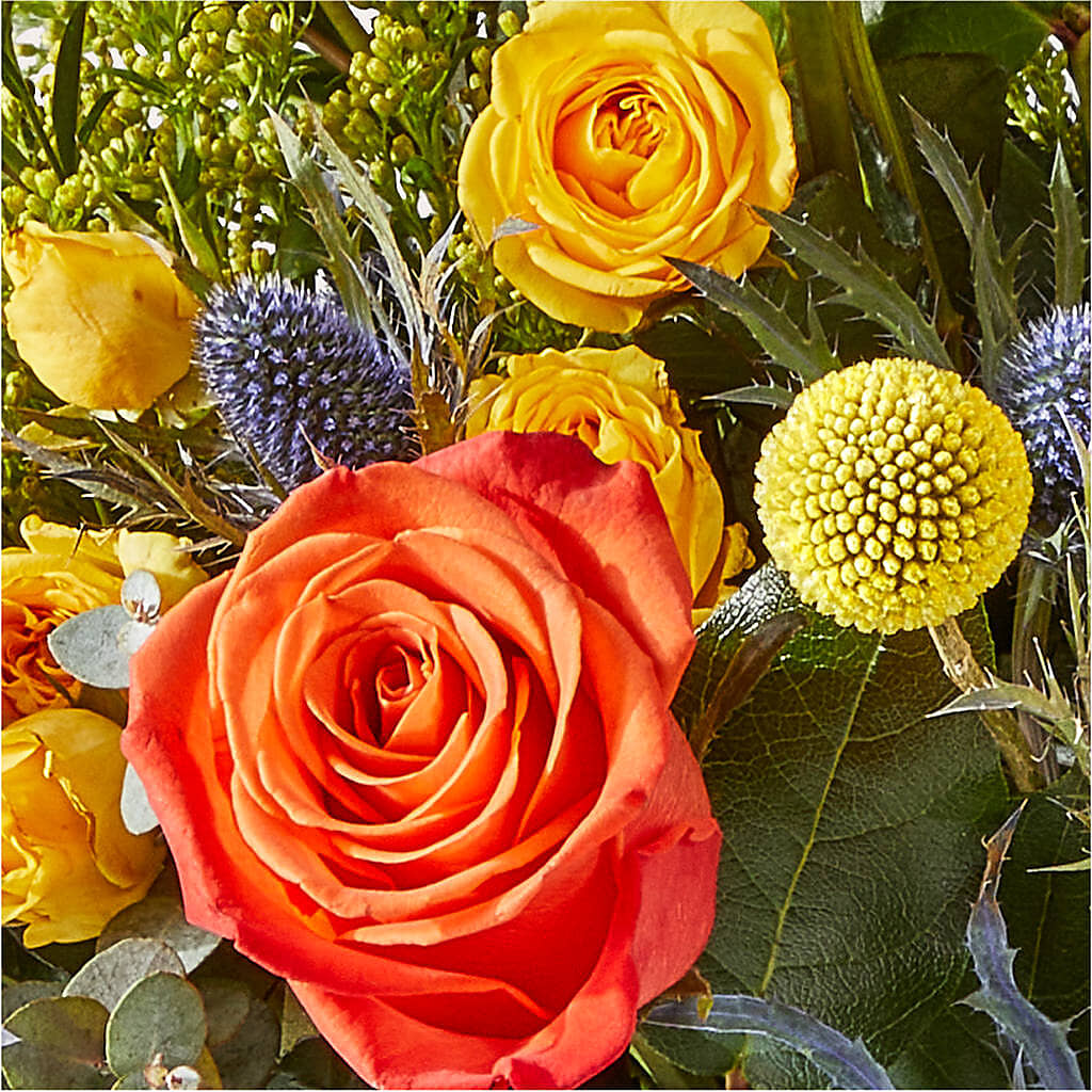 Disco Bouquet – MOORE'S FLOWERS & GIFTS, Fayette AL