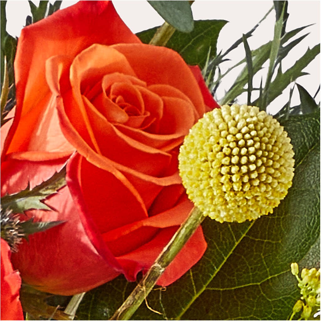 Disco Bouquet – MOORE'S FLOWERS & GIFTS, Fayette AL