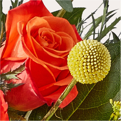 Disco Bouquet – MOORE'S FLOWERS & GIFTS, Fayette AL