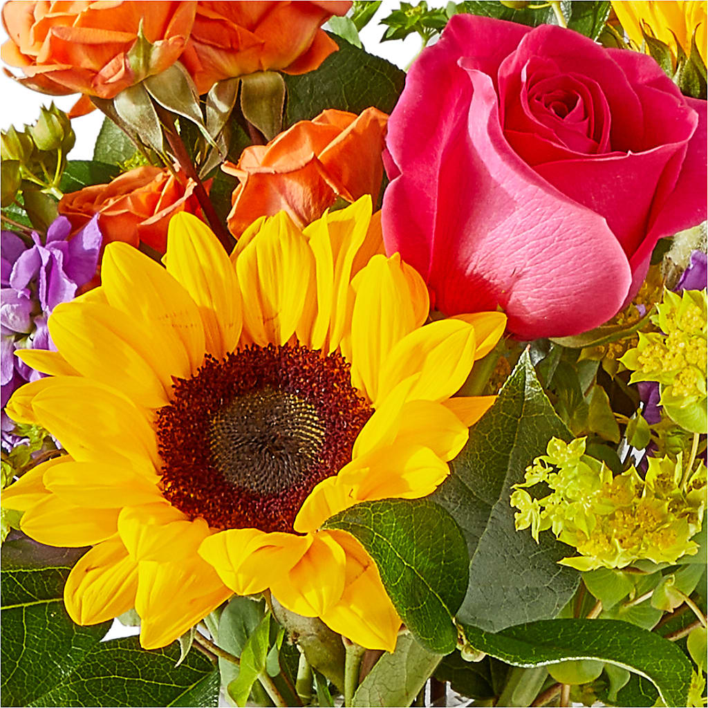Vibrant Greetings Bouquet – MOORE'S FLOWERS & GIFTS, Fayette AL