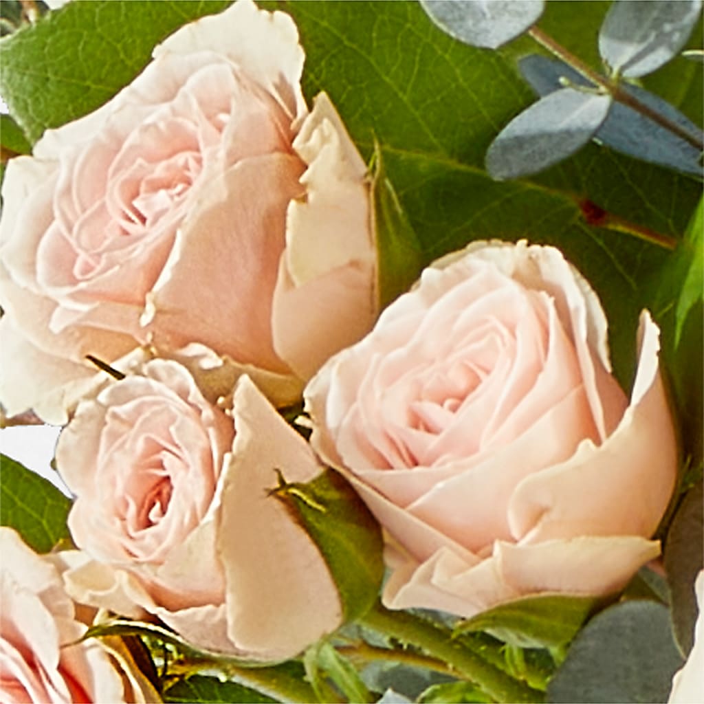 Inspired Bouquet – MOORE'S FLOWERS & GIFTS, Fayette AL