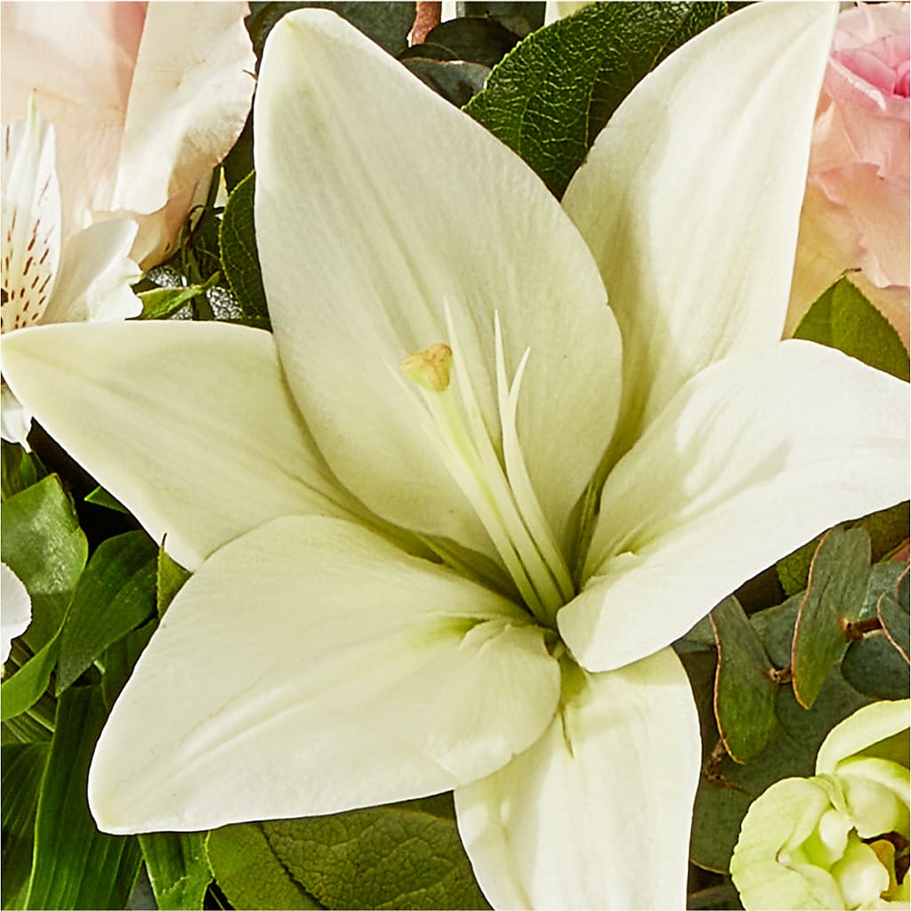 Ballet Slippers Bouquet – MOORE'S FLOWERS & GIFTS, Fayette AL