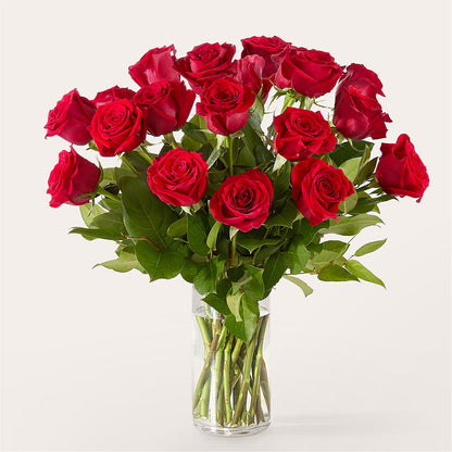 The One Red Rose Bouquet – MOORE'S FLOWERS & GIFTS, Fayette AL