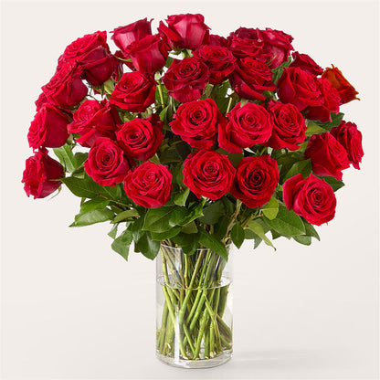 The One Red Rose Bouquet – MOORE'S FLOWERS & GIFTS, Fayette AL
