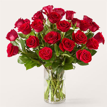 The One Red Rose Bouquet – MOORE'S FLOWERS & GIFTS, Fayette AL
