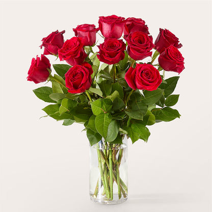 The One Red Rose Bouquet – MOORE'S FLOWERS & GIFTS, Fayette AL