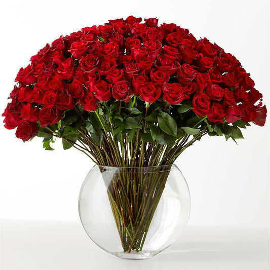 The Idealist – MOORE'S FLOWERS & GIFTS, Fayette AL