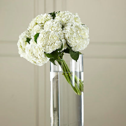 White Hydrangea Hand-Tied Bouquet – MOORE'S FLOWERS & GIFTS, Fayette AL
