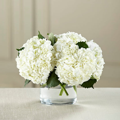 White Hydrangea Bouquet – MOORE'S FLOWERS & GIFTS, Fayette AL