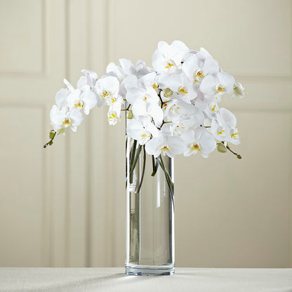 White Phalaenopsis Bouquet – MOORE'S FLOWERS & GIFTS, Fayette AL